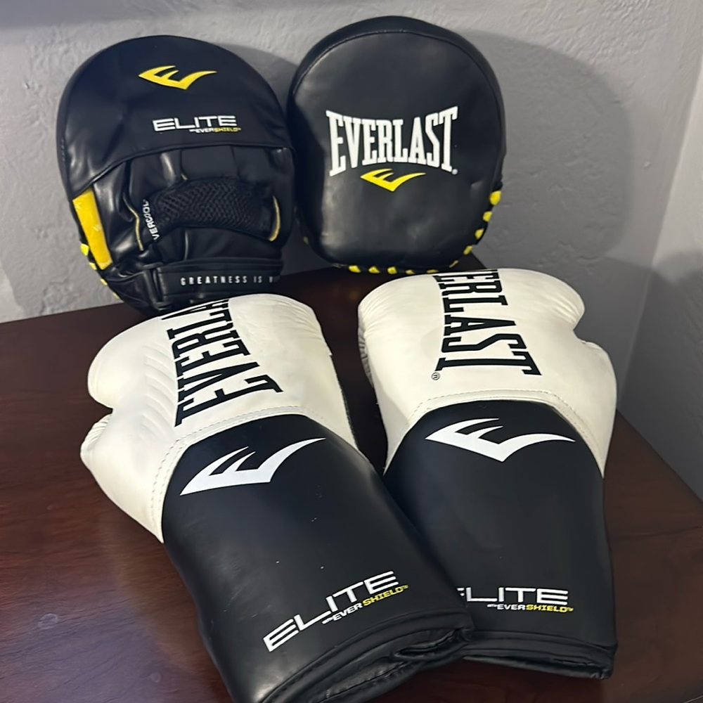 Everlast Boxing Gloves and Punching Gloves